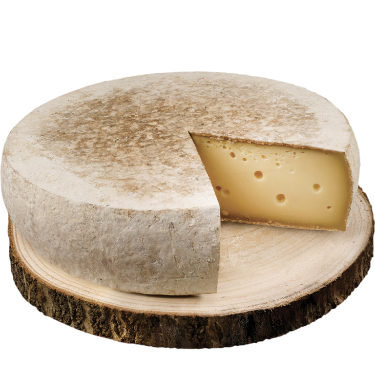 tomme-de-lalp